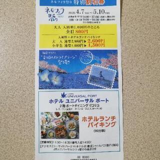 ネモフィラ祭り 特別割引券 大阪 舞洲  無料プレゼントあり