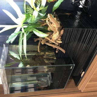 水槽(brio)売ります