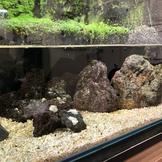 水槽(縦30cm・横60cm・高さ約90cm)売ります