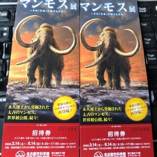 マンモス展のチケット2枚差し上げます♪