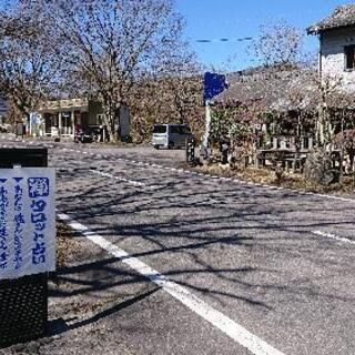 禅タロット占いin塚原高原どんぐり茶屋さん