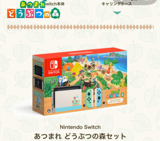 Nintendo Switch あつまれどうぶつの森セット
