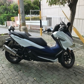 新型フォルツァmf13