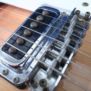 Ricken backer リッケンバッカー エレキギター