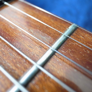 Ricken backer リッケンバッカー エレキギター