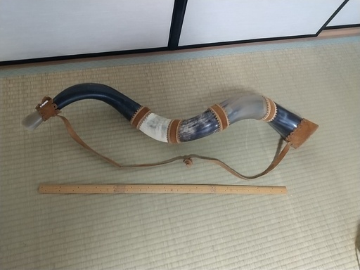 角笛 ホルン