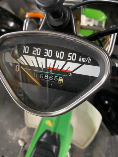 シャリー絶好調！ツチノコマフラー！