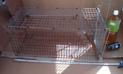 捕獲器猫トリ籠ワナはんたーアライグマ仕掛け設置駆除逮捕8千円売り