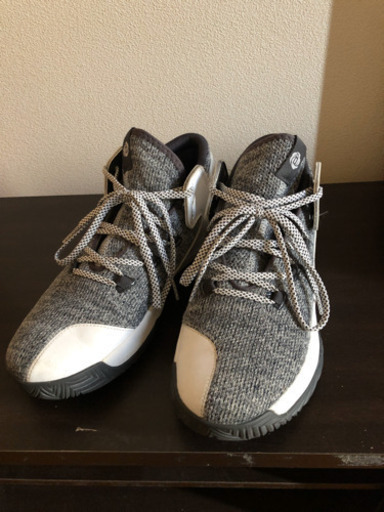 adidasのバスケットシューズ 27cm www.inversionesczhn.com