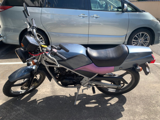 【商談中】SUZUKI ウルフ50 【希少2スト】