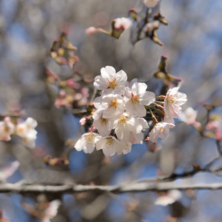 3月12日日　ボディーワークDAY in 中野