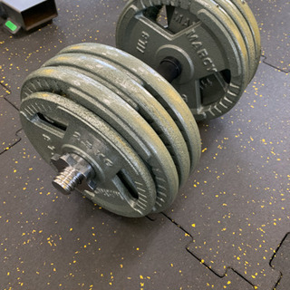 スクリューダンベル 37.3kg 2個 edneyquaresma.com