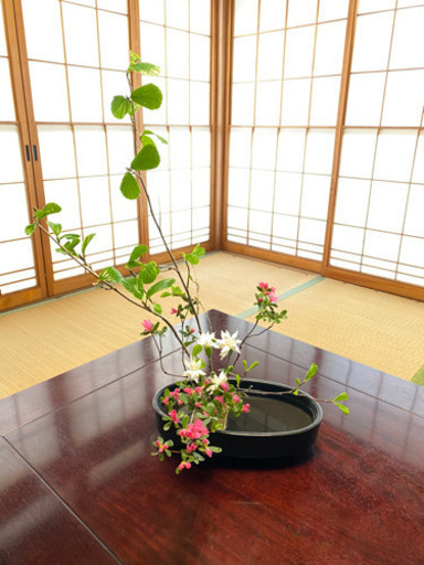 生け花レッスン 小原流 初心者歓迎 Irieplan さくらんぼ東根の華道の生徒募集 教室 スクールの広告掲示板 ジモティー