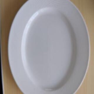 大皿10枚セット　某大食い番組で使用したプレートです。