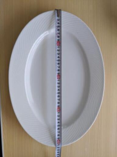 大人気の手作り餃子と本格台湾料理 大皿10枚セット 某大食い番組