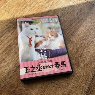 いやし　猫　DVD 玉之丞ときどき春馬　レンタル　猫侍