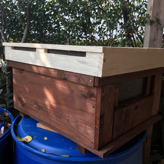 養蜂　西洋蜜蜂　巣箱　新品