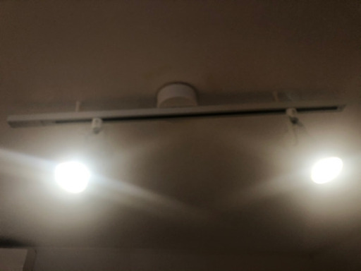 無印良品 LEDスポットライト ライト二個付き | www.marcusvaz.com