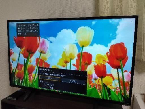 【美品】 2019年製 Panasonic TH-43FX500 ハイビジョン液晶テレビ 43インチ