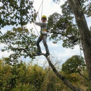ロープで木登りツリーイング体験 in 西宮市日野神社
