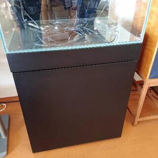 ADA水槽 熱帯魚飼育関連商品