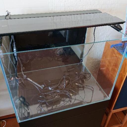 ＡＤＡ水槽 熱帯魚飼育関連商品