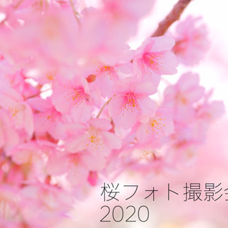 残席わずか！3/28&3/29桜フォト撮影会2020！入園入学、...