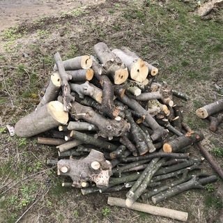 サクランボ いちじくの木 薪 キャンプ 焚き付け 細枝