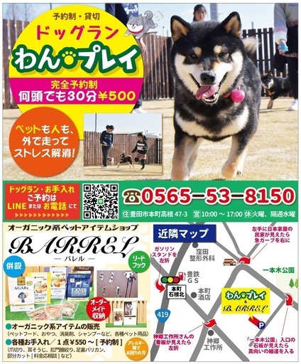 貸し切りドックランで思いっきり遊びませんか 松竹梅 豊田のペットサービスの無料広告 無料掲載の掲示板 ジモティー