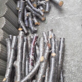 まだ薪を必要とされる方など　桜の剪定枝