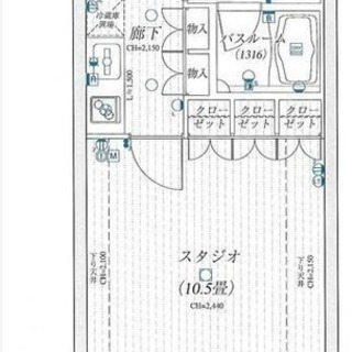 荷物の多い人おすすめ！広めのウォークインクローゼット付の分譲マン...