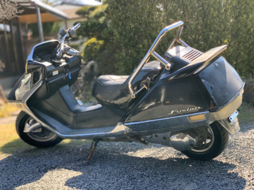 15匹セット！スラウェシギャラクシー【限定1】