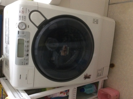 TOSHIBAドラム型洗濯機
