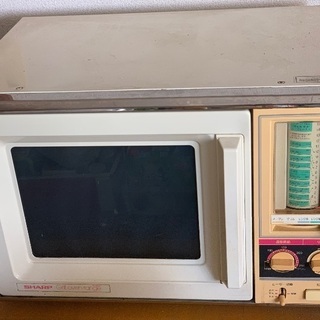 謎めいた りんご そよ風 古い 電子 レンジ Planetamente Com