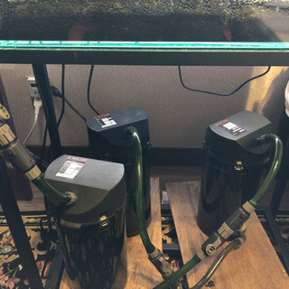 60cm水槽セット、おまけ発酵式CO2ボンベ 60cm水槽セット、おまけ発酵式CO2ボンベ 【公式通販】