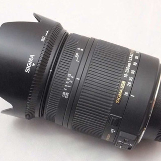 SIGMA 18-250mm f3.5-6.3 HSM(Nikon)