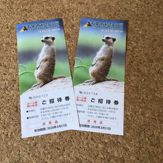 千葉市動物公園の招待券2枚