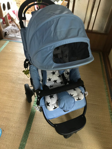 エアバギーココ　エアバギー