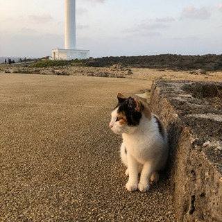 映像編集承ります。