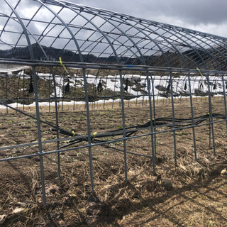 ビニールハウス骨組み譲ります！