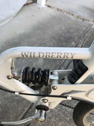 JAGUARの折りたたみ自転車 JAGUAR] 20インチ折りたたみ自転車