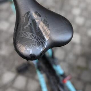 ビアンキ camaleonte チェレステ 2018モデル