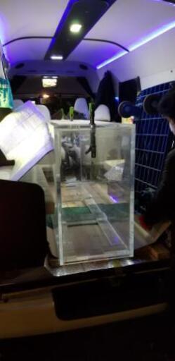 売約済み。大型高級アクリル水槽❗1800幅 売約済み。大型高級アクリル水槽❗1800幅