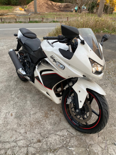 ninja 250R  スペシャルエディション