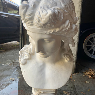 石膏像 アリエス 胸像 1208-102 胸像 アリアス