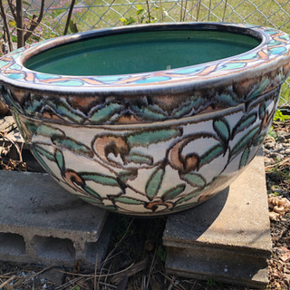 新品 信楽焼 陶器鉢 