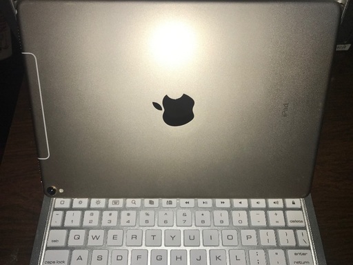 iPad pro(10.5インチ)WI-FI+Callular 64GB ゴールド | stainu