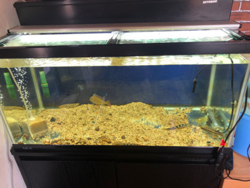 90センチガラス水槽、水槽蓋二枚セット