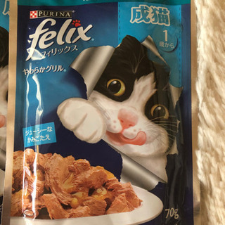 猫フード　餌　エサ　felix