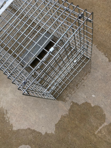 小動物用 動物 捕獲機 保護機 捕獲 箱罠 はこわな 網 柵 檻 はなばたけ 小月のその他の中古あげます 譲ります ジモティーで不用品の処分 小動物用 動物 捕獲機 保護機 捕獲 箱罠 はこわな 網 柵 檻 はなばたけ 小月のその他の中古あげます 譲ります ジモティーで不用品の処分